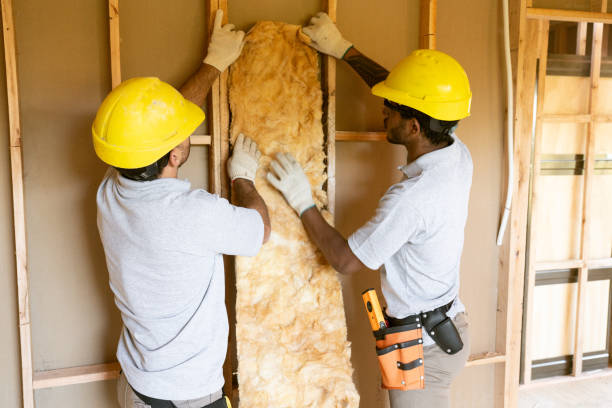 Best Spray Foam Insulation  in Wharton, TX