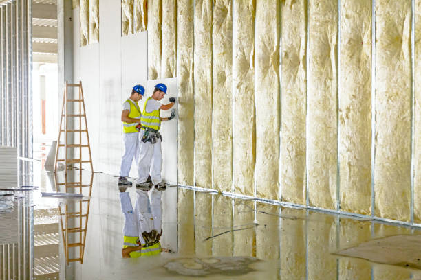 Best Radiant Barrier Insulation  in Wharton, TX